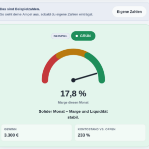 YTS_Monats-Check_Beispiel
