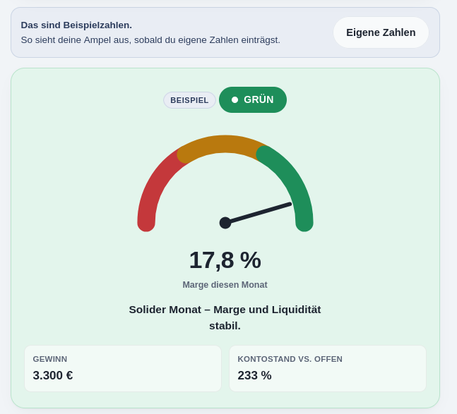 YTS_Monats-Check_Beispiel